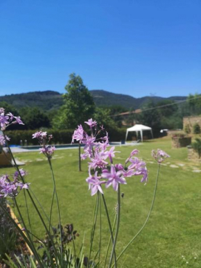 Alba Morus Bed e Breakfast sentiti a casa nel cuore della Toscana